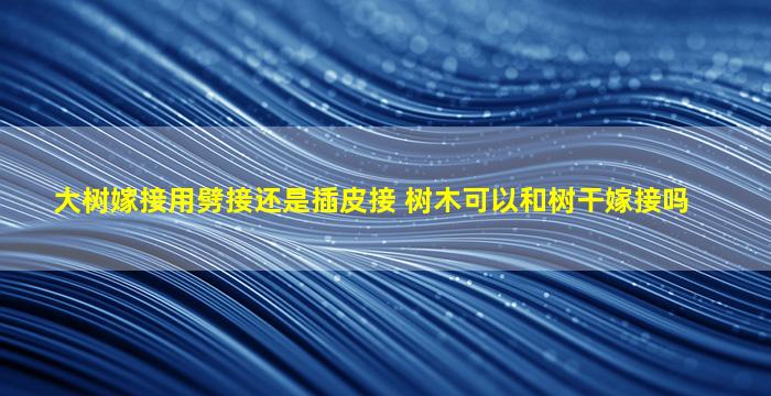 大树嫁接用劈接还是插皮接 树木可以和树干嫁接吗